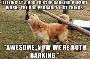 Image result for Dog Shouting Meme