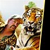 Image result for Funny Tiger King Quotes