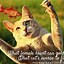Image result for Clever Cat Sayings