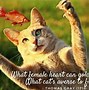 Image result for Cute Cat Quotes