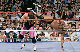 Image result for Wrestlemania 4
