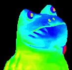 Image result for Flying Frog Meme