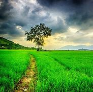 Image result for Free Stock Photography