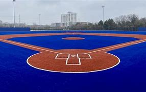 Image result for Turf Baseball Field