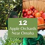 Image result for Local Apple's in Iowa