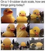 Image result for How Do You Feel Today Meme