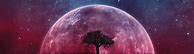 Image result for iPhone SE Wallpaper of the Moon