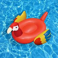 Image result for Pool Floaty Toys