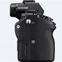 Image result for Sony Mirrorless