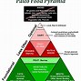 Image result for Paleo Food Pyramid