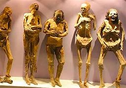 Image result for Mexico Underground Mummies