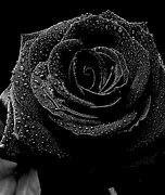 Image result for Beautiful Dark Wallpapers