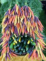 Image result for Different Carrots