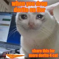 Image result for Dorito Cat Meme