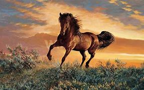 Image result for Wild horses wallpapers