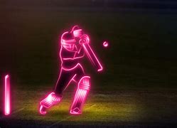 Image result for Neon Cricket Stumps