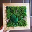 Image result for Moss Wall Art Decor
