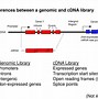 Image result for cDNA Library Construction