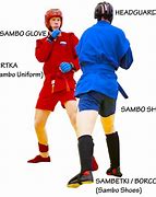 Image result for Sambo MMA