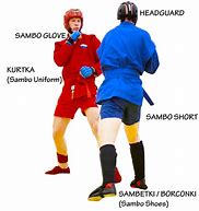 Image result for Sambo Martial Art No GI