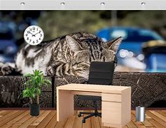 Image result for Cat Office Wallpaper