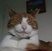 Image result for Free Clip Art Happy Cat Face