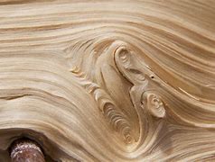 Image result for Grainy Wood Texture