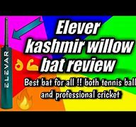 Image result for Elever Bats