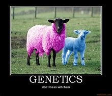 Image result for Funny Genetics Memes