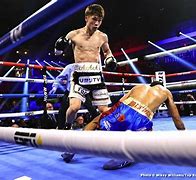 Image result for Recent Boxing