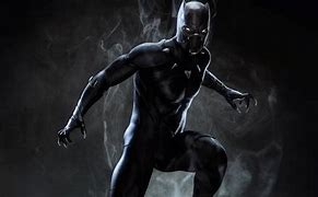 Image result for Black Panther Superhero