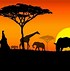 Image result for Beautiful Africa Map