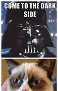 Image result for Grumpy Cat Thank You Meme