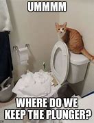 Image result for Toilet Cat Meme