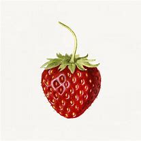 Image result for Easy Fruit Sketches