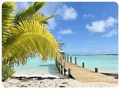 Image result for Staniel Cay Bahamas