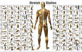 Image result for Martial Arts Stretches