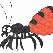 Image result for Honey Pot Ant Drawing