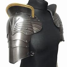 Image result for Shoulder Plate Armor