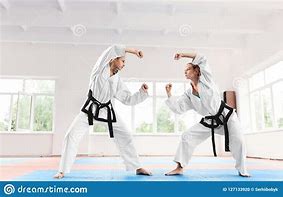 Image result for Lady 2 Fight Karate