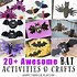 Image result for Bat Activities
