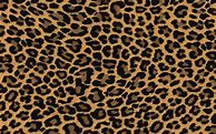 Image result for Cheetah Print Aesthetic Wallpaper for Computer