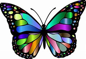 Image result for Butterfly Art Clip Art