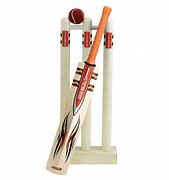 Image result for Cricket Bat Wicket Pics