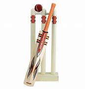 Image result for Cricket Bat Ball Wicket Photo