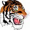 Image result for Tiger SVG Designs