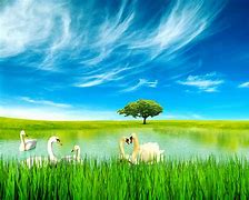 Image result for Free Photoshop Backgrounds Nature