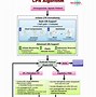 Image result for Recover CPR Algorithm 1
