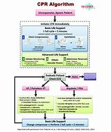 Image result for Recover Flow Chart CPR Veterinary