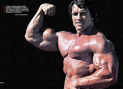 Image result for Arnold Bodybuilding Wallpaper